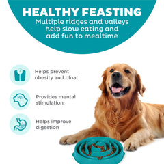 Conception énigme Outward Hound Fun Feeder Slo Bowl stimule l’attention des chiens.