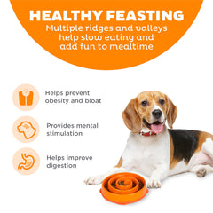 Outward Hound Fun Feeder Slo Bowl avec labyrinthe intérieur, stimule l’engagement au repas