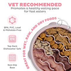Outward Hound Fun Feeder Slo Bowl labyrinthe-enigme, stimulation visuelle et mentale.
