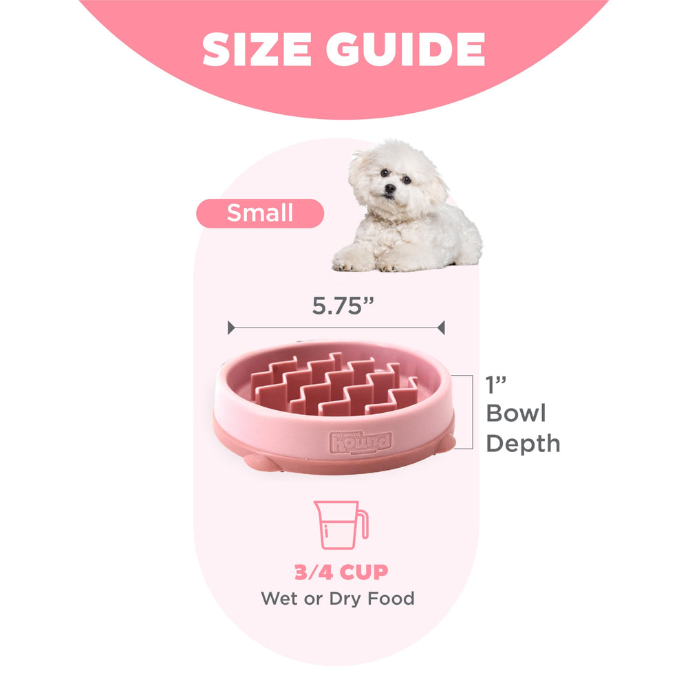 Outward Hound Fun Feeder Slo Bowl lave-vaisselle haut-etage, nettoyage pratique.