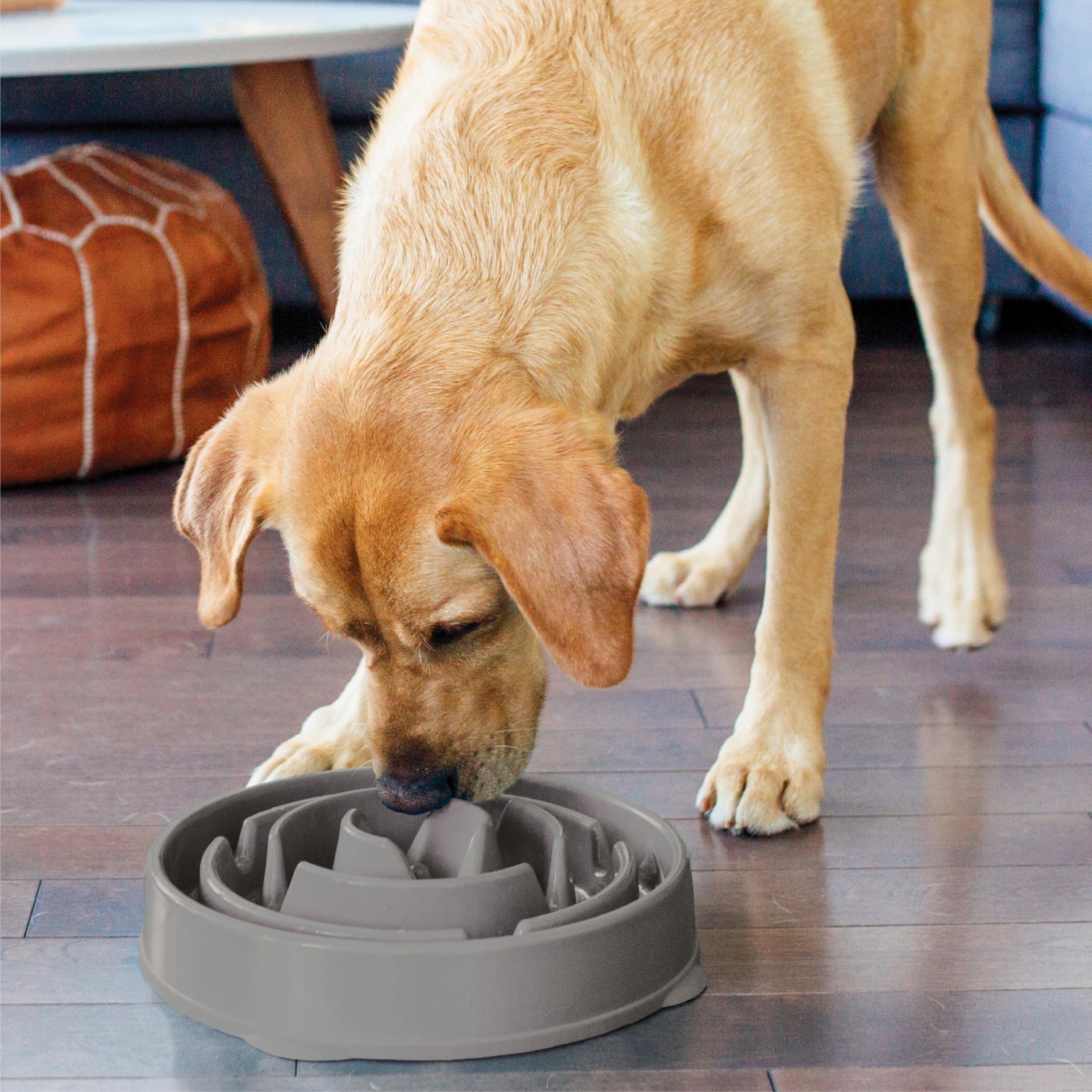 Nettoyage pratique: bol Outward Hound compatible lave-vaisselle sur plateau supérieur.