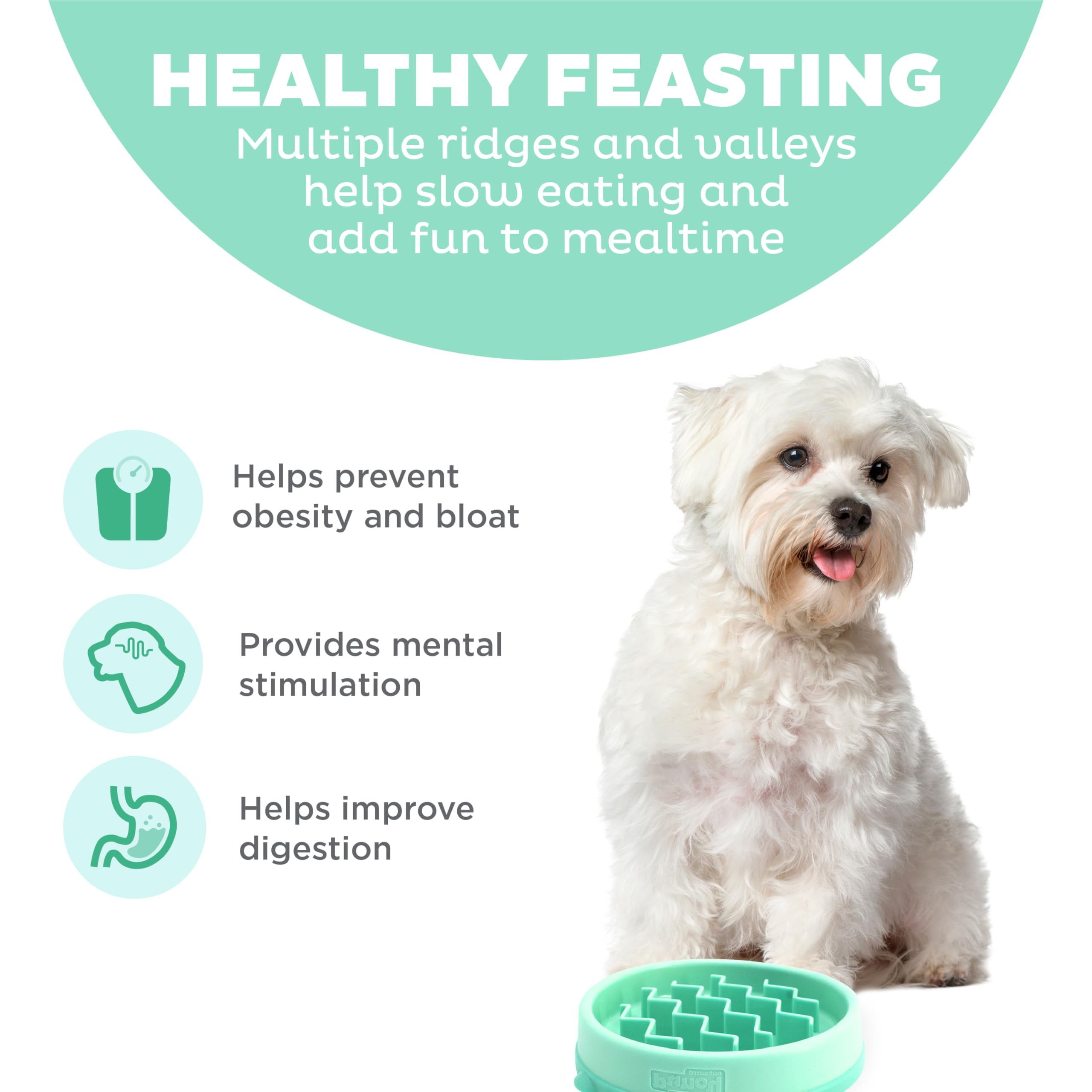 Outward Hound Slo Bowl Menthe, motif ondes, aide à ralentir les repas.