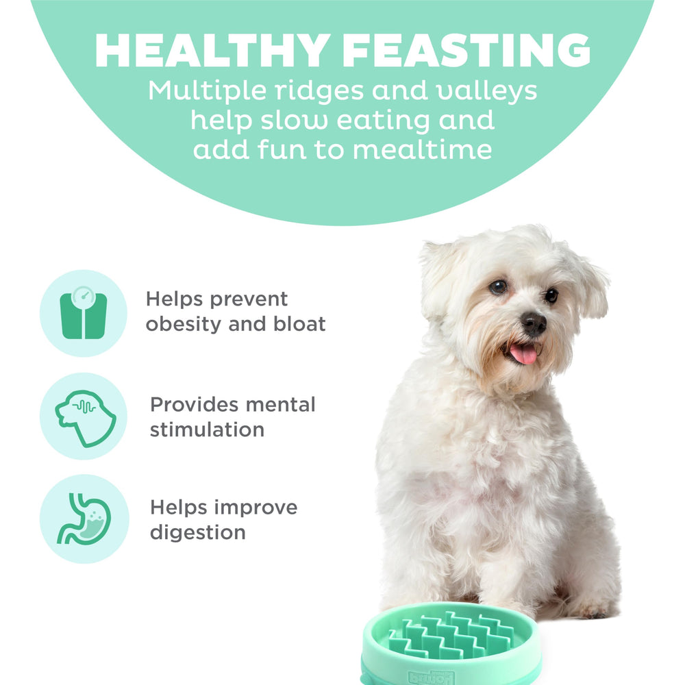 Outward Hound Slo Bowl Menthe, motif ondes, aide à ralentir les repas.