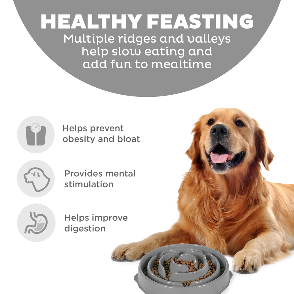 Fun Feeder Slo Bowl d’Outward Hound, design puzzle profond pour engagement prolongé.