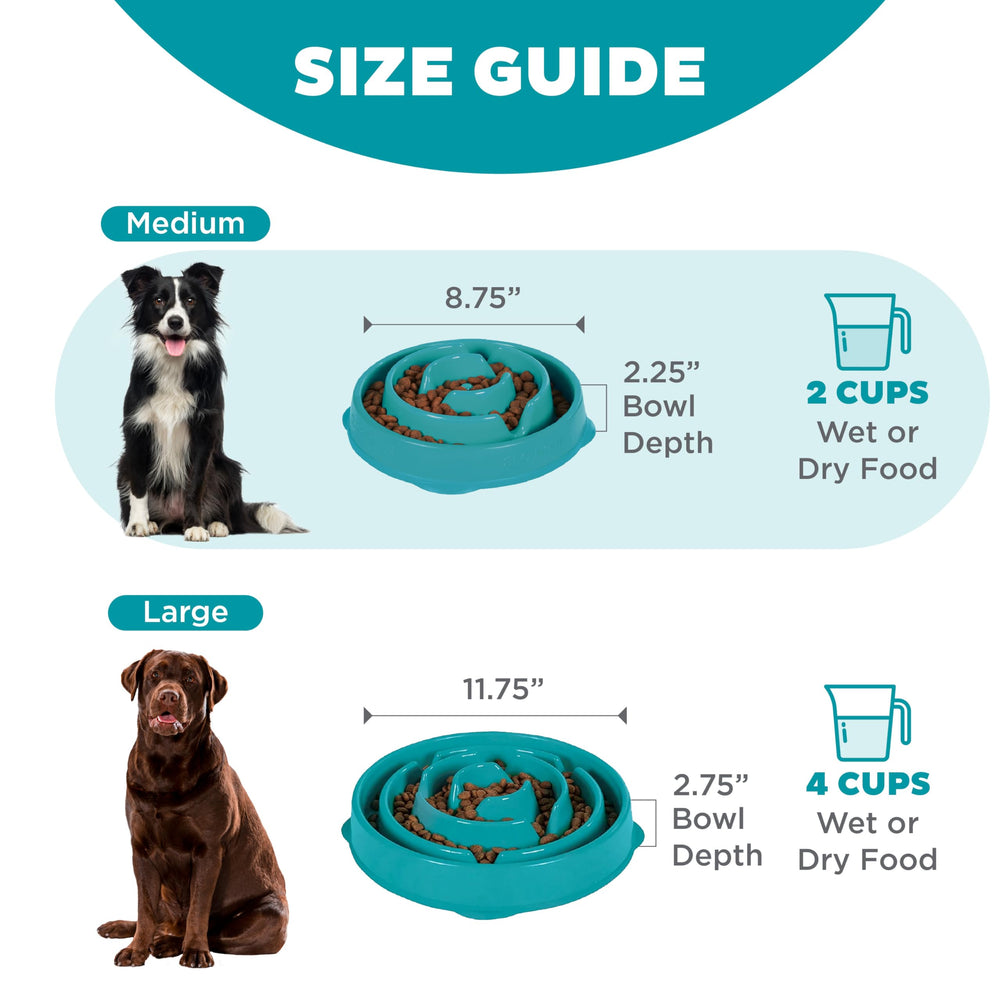 Outward Hound Slo Bowl, 2 tasses, idéal pour chiens et chats.