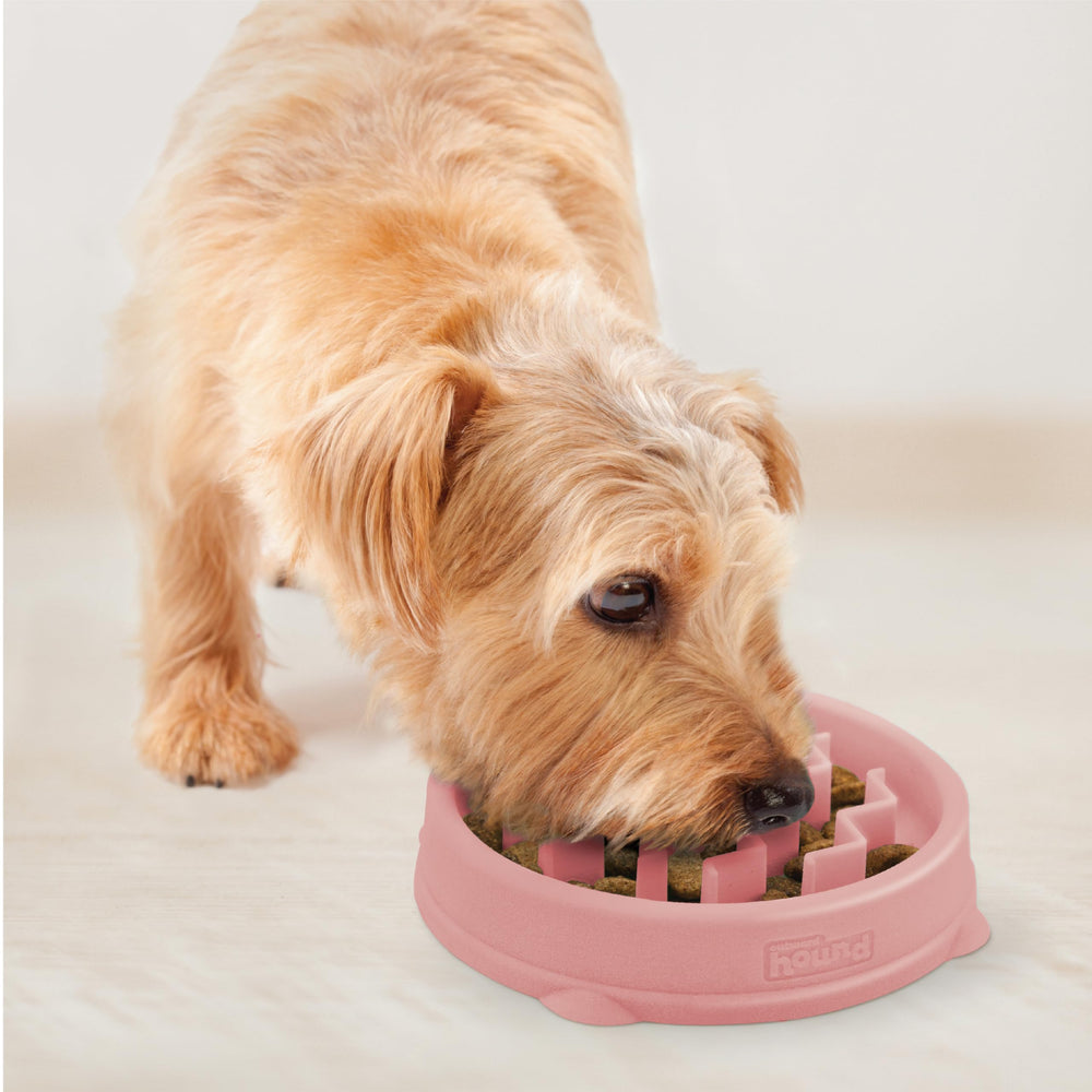 Outward Hound Fun Feeder Slo Bowl sans-bpa-pvc-phthalate, matériaux sûrs.