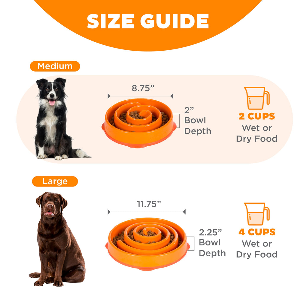 Outward Hound Fun Feeder Slo Bowl, utilisation en intérieur et nettoyage facile