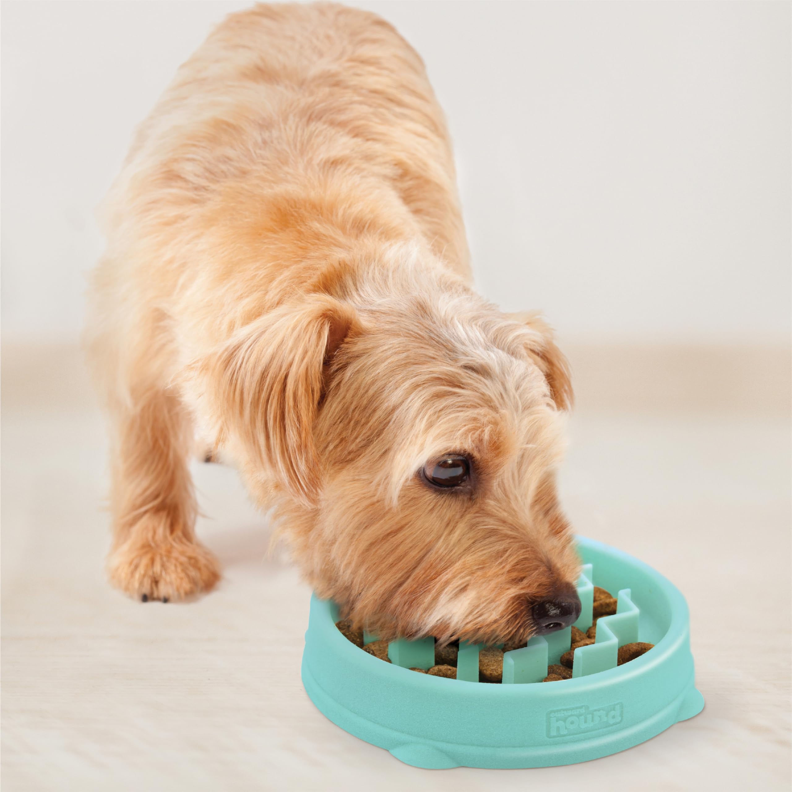 Utilisation quotidienne facilitée: bol lent pour animaux sensibles.
