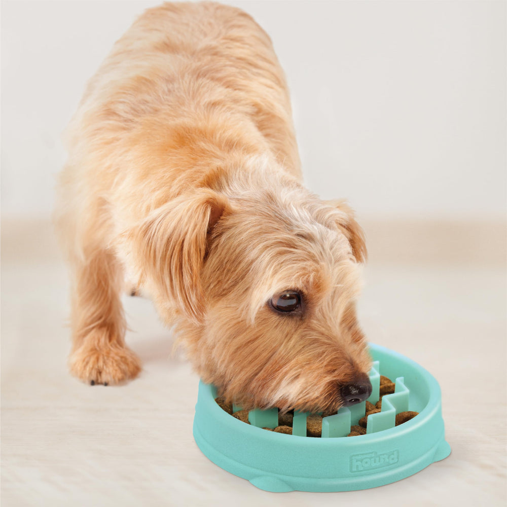 Utilisation quotidienne facilitée: bol lent pour animaux sensibles.