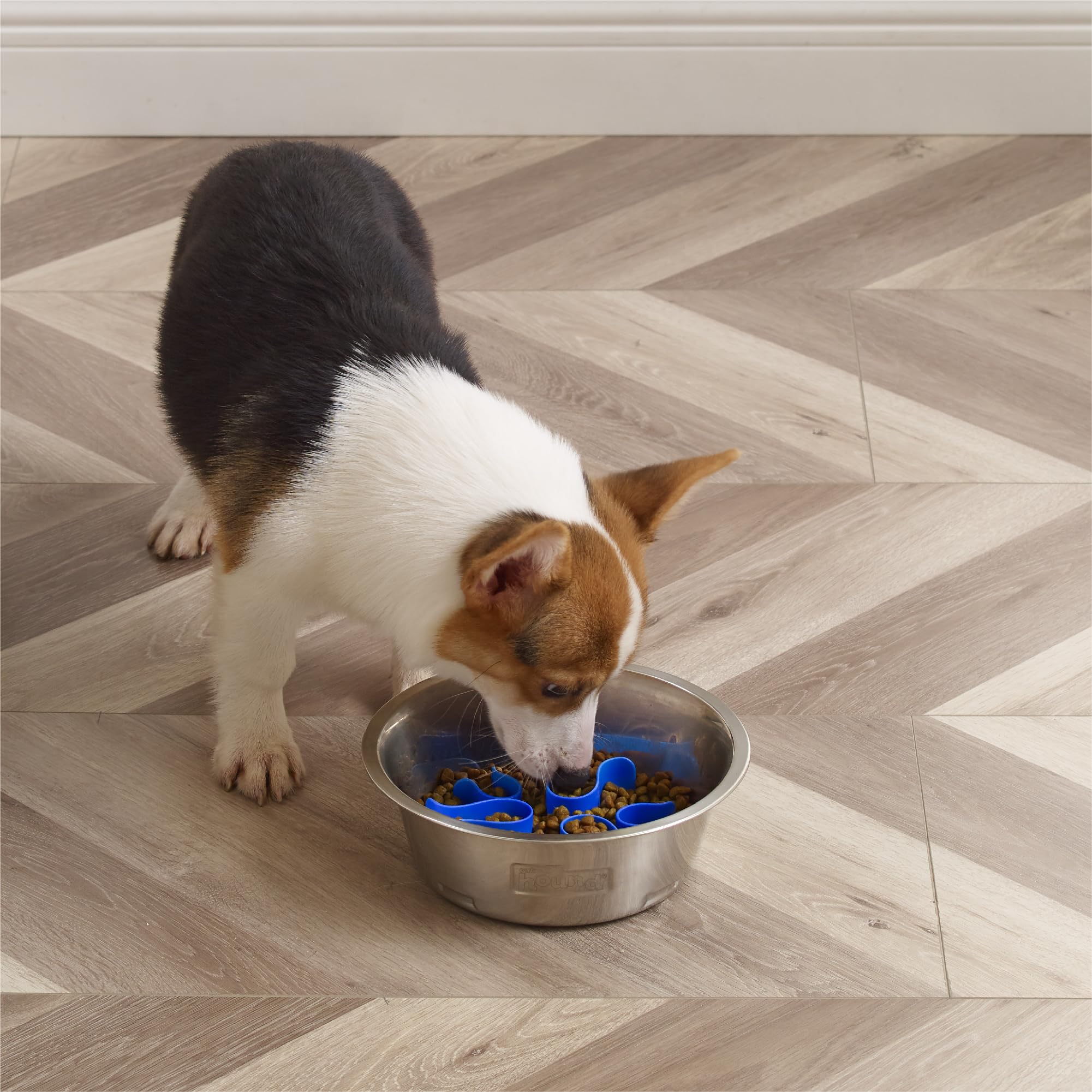Outward Hound Fun Feeder taille moyenne, parfaite pour chiens de taille moyenne.