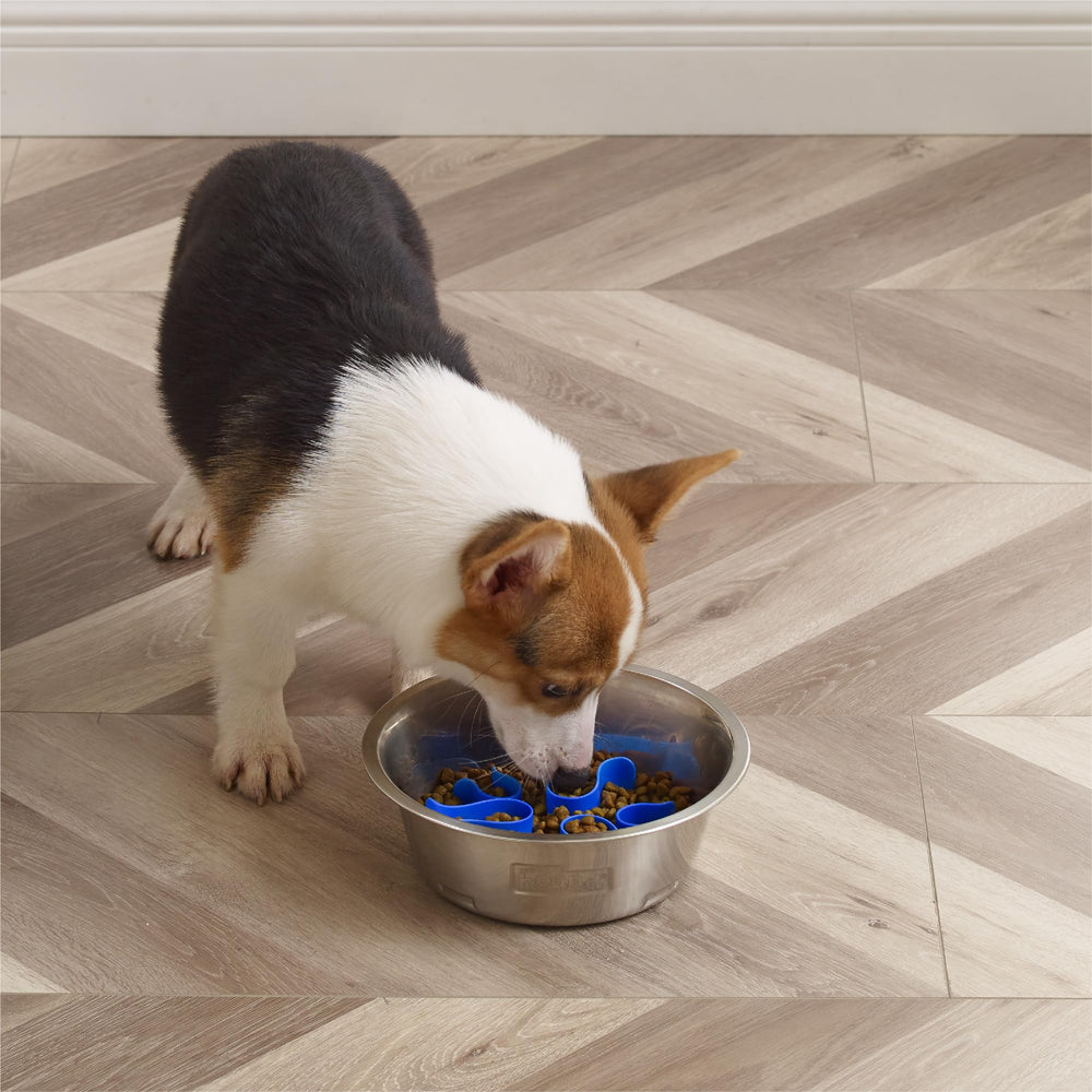 Outward Hound Fun Feeder taille moyenne, parfaite pour chiens de taille moyenne.