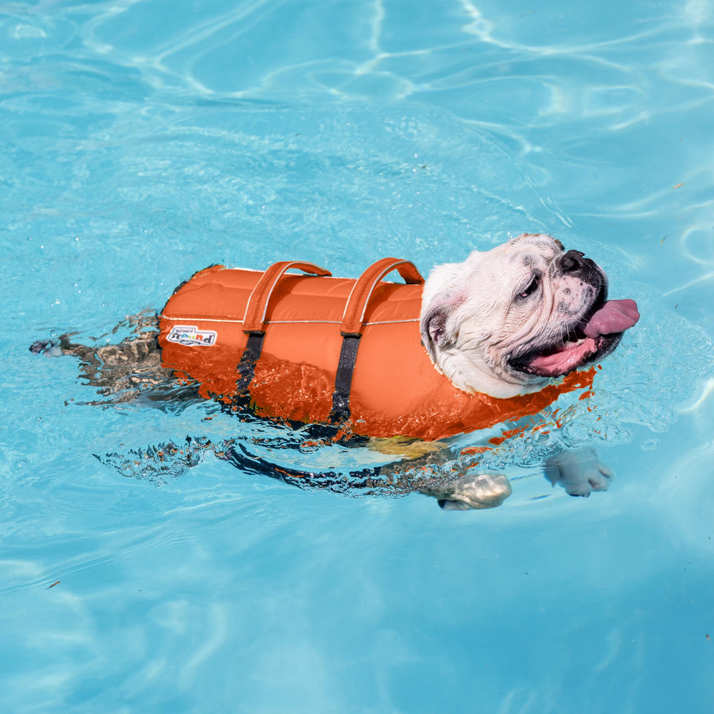 Outward Hound Granby Splash Orange, reflets et couleur vive pour meilleure visibilité.