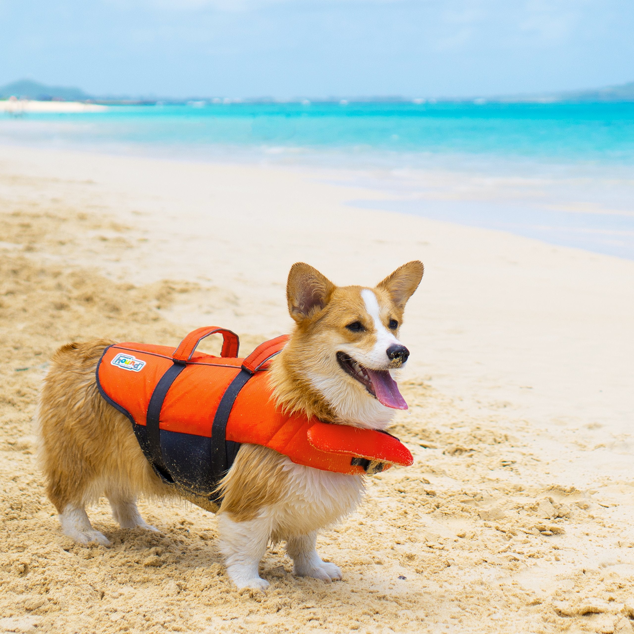 Outward Hound Granby Splash: taille-large adaptée pour les chiens de grande morphologie.