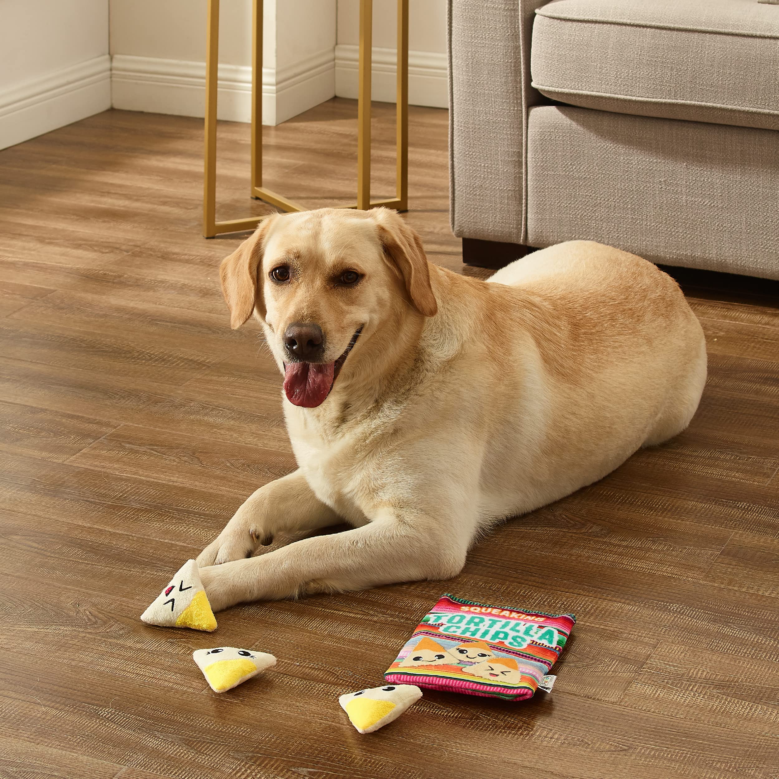 Outward Hound grincement-jouet-chiens capte l’intérêt grâce aux sons.