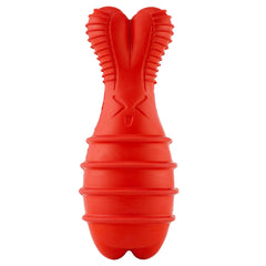 Outward Hound Grunt Fetch Stick Bunny, grunt sonore stimulant le jeu