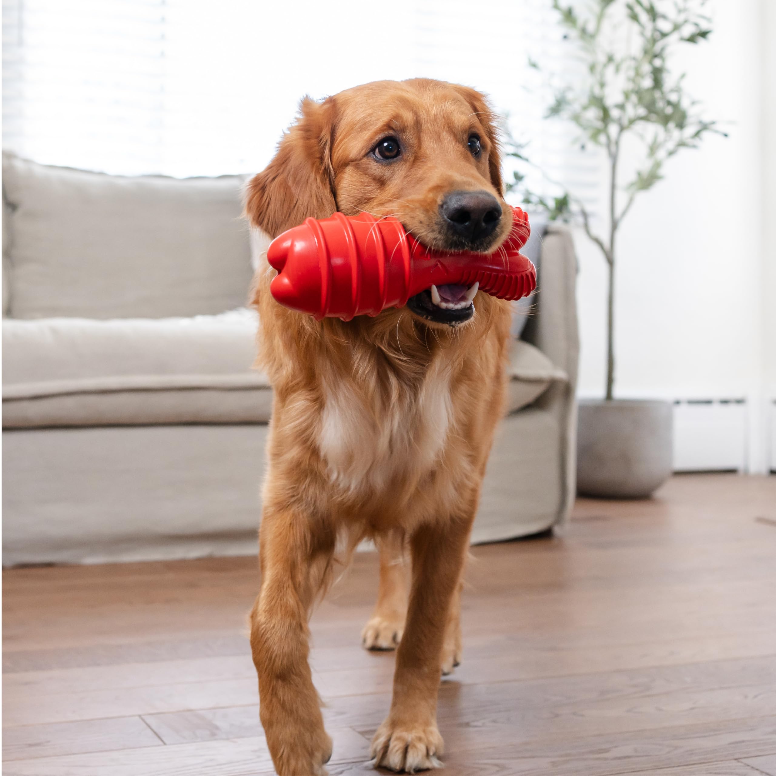 Outward Hound Grunt Fetch Stick Bunny, nettoyage rapide à l'eau savonneuse