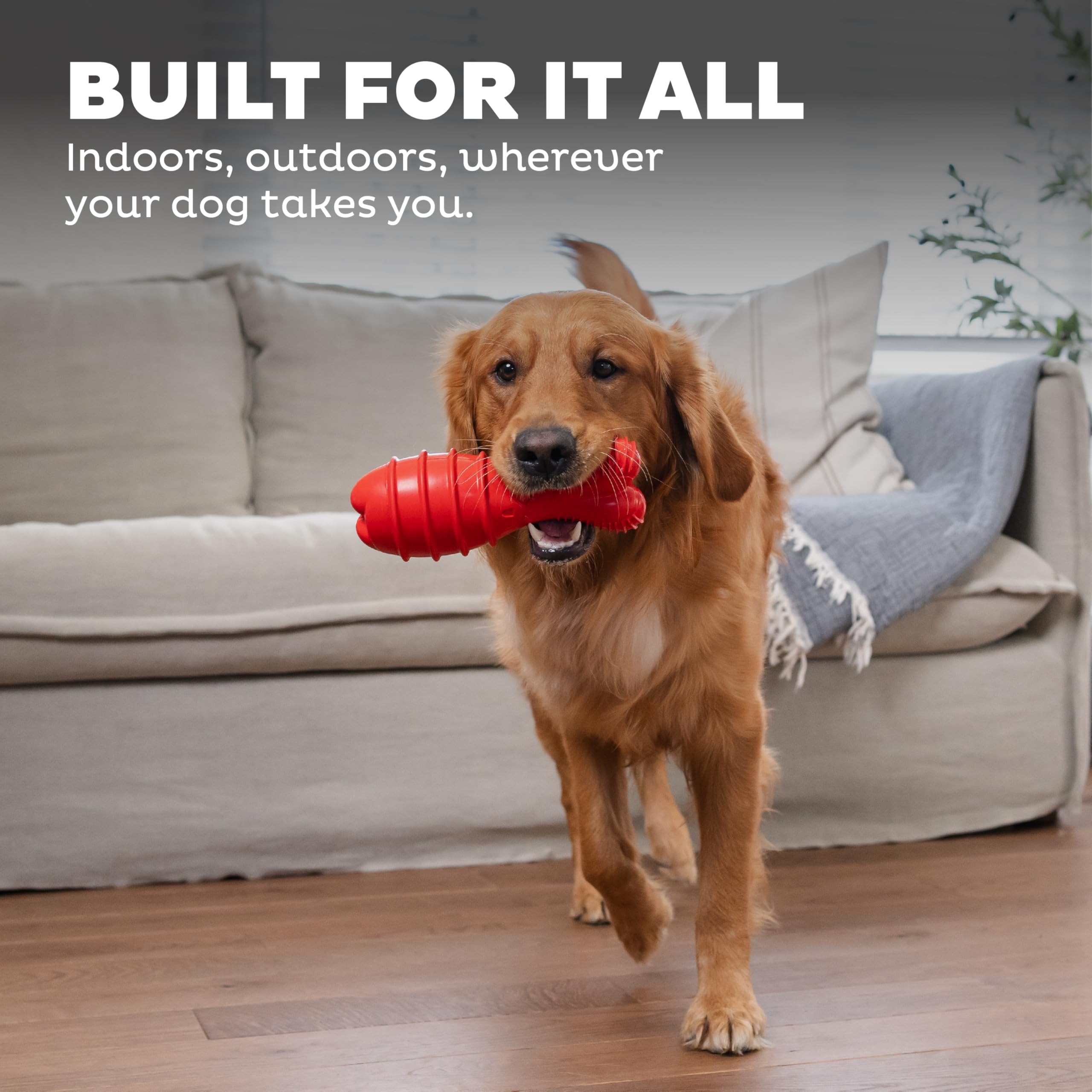 Outward Hound Grunt Fetch Stick Bunny, taille adaptée à tous les chiens