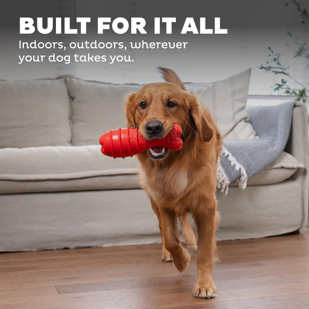 Outward Hound Grunt Fetch Stick Bunny, taille adaptée à tous les chiens