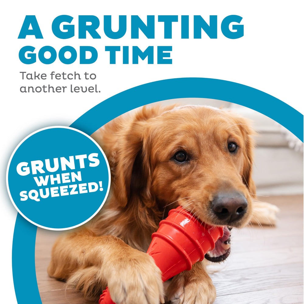 Outward Hound Grunt Fetch Stick Bunny, texture robuste pour jeux répétés