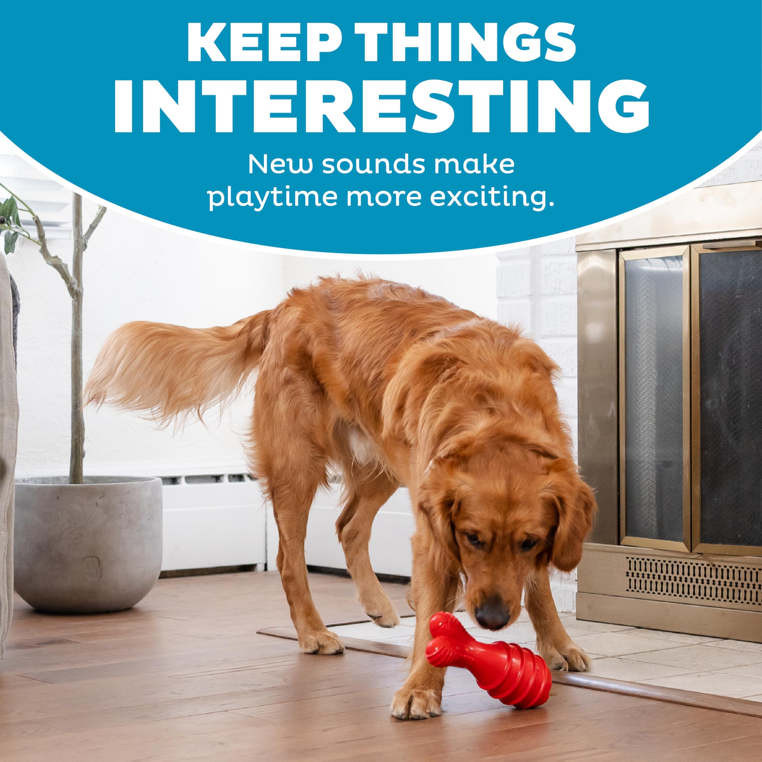 Outward Hound Grunt Fetch Stick Bunny, usage intérieur et extérieur pratique