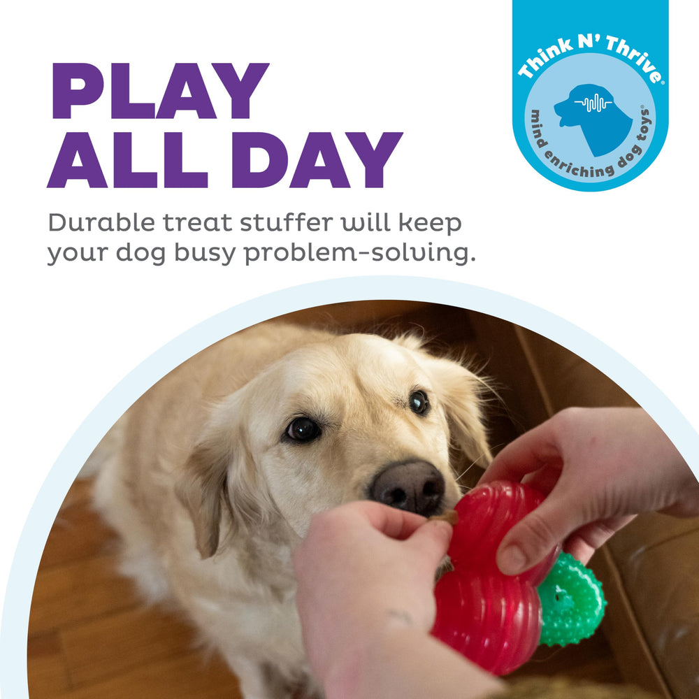 Outward Hound Gummiez cerises, distributeur-friandises prolongeant le temps de jeu.