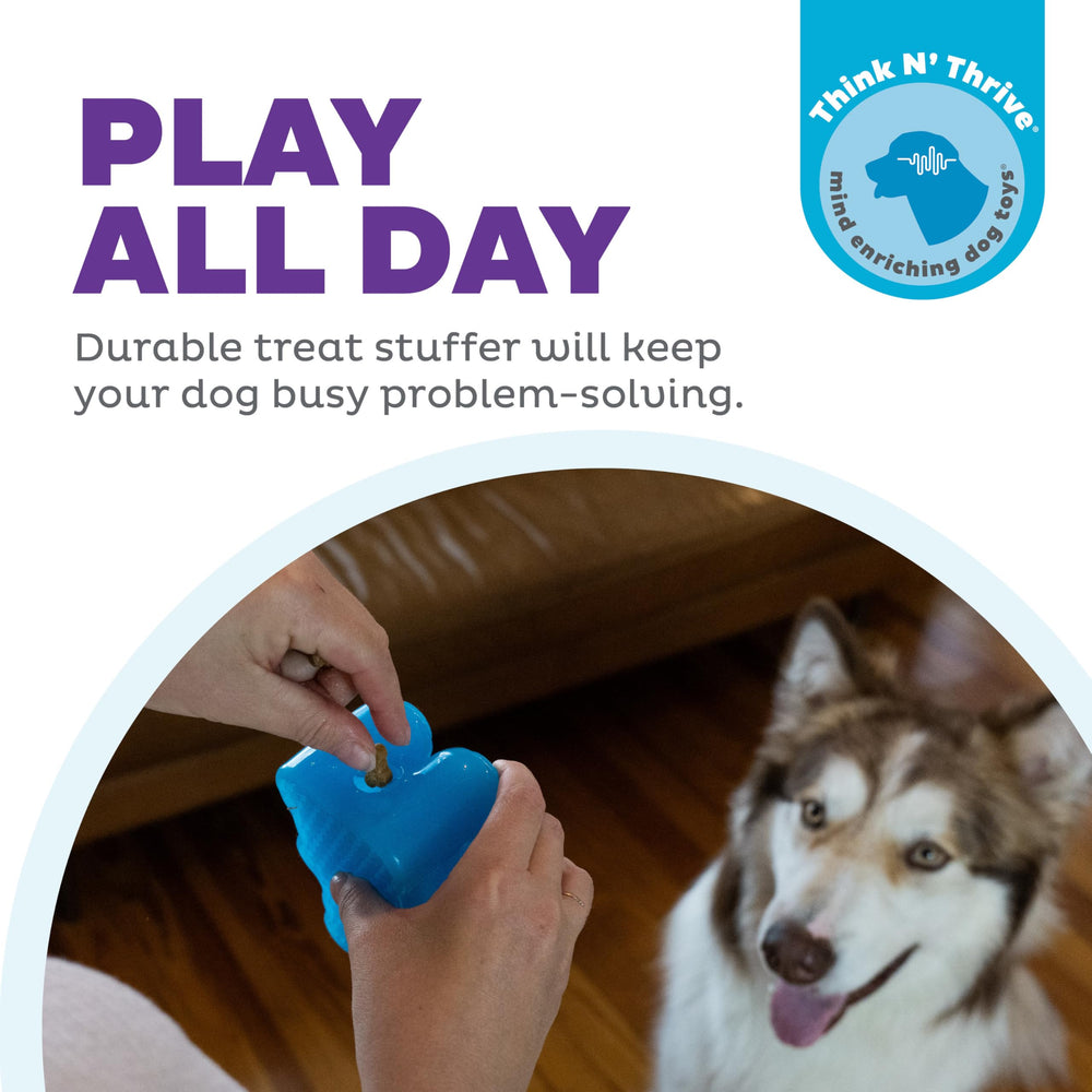 Outward Hound Gummiez Ours remplissage friandises pour puzzle et récompense