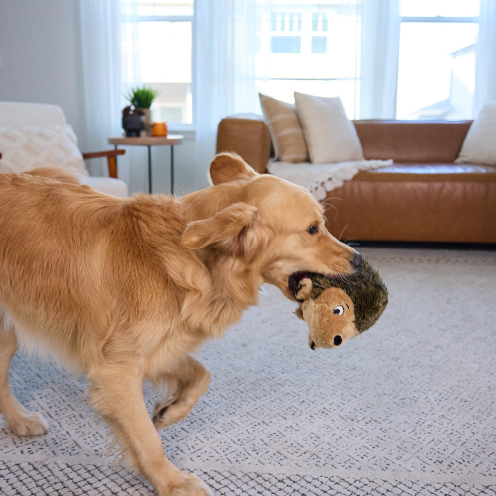 Outward Hound Hedgehogz doudou, idéal pour le jeu interactif et le partage avec votre chien.