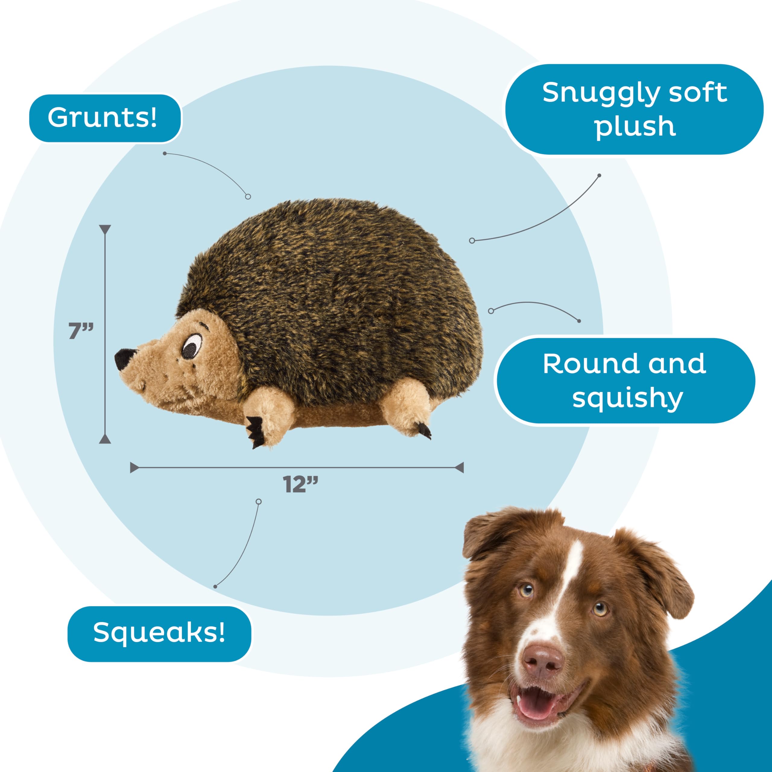 Outward Hound Hedgehogz doudou peluche douce, compagnon réconfortant lors des repos.