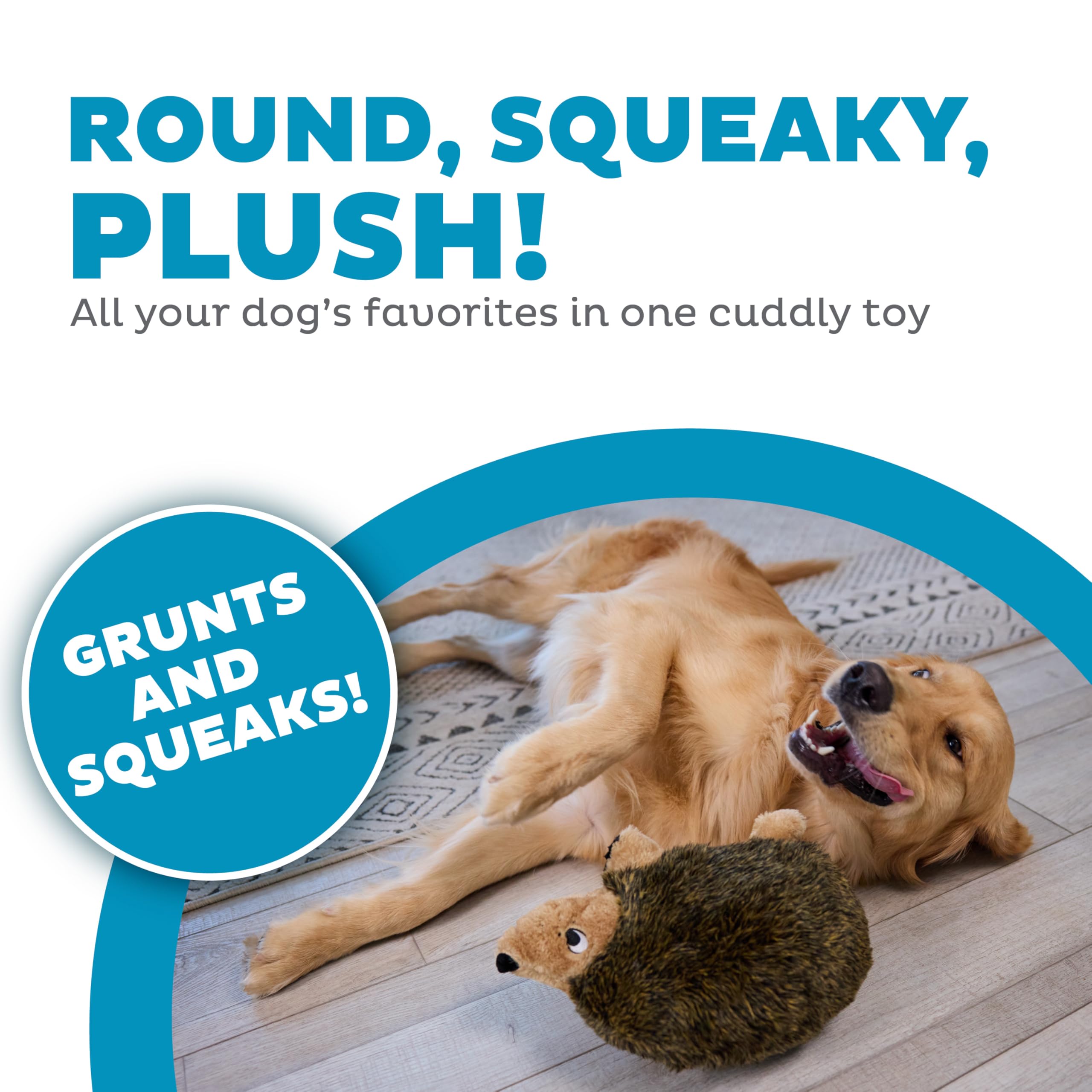 Outward Hound Hedgehogz doudou avec sifflet et grognement pour stimuler le jeu.