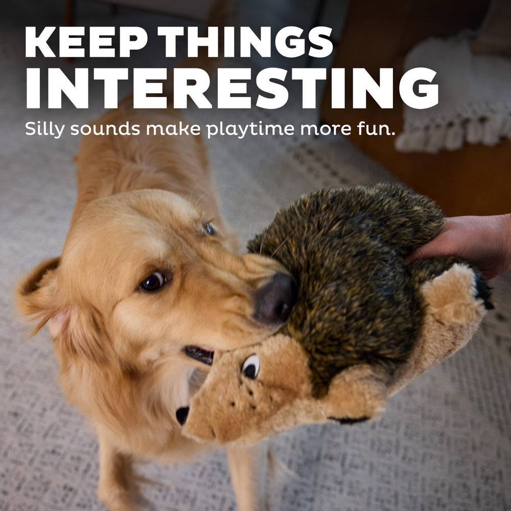Outward Hound Hedgehogz doudou, durable et facile à nettoyer après les sessions de jeu.