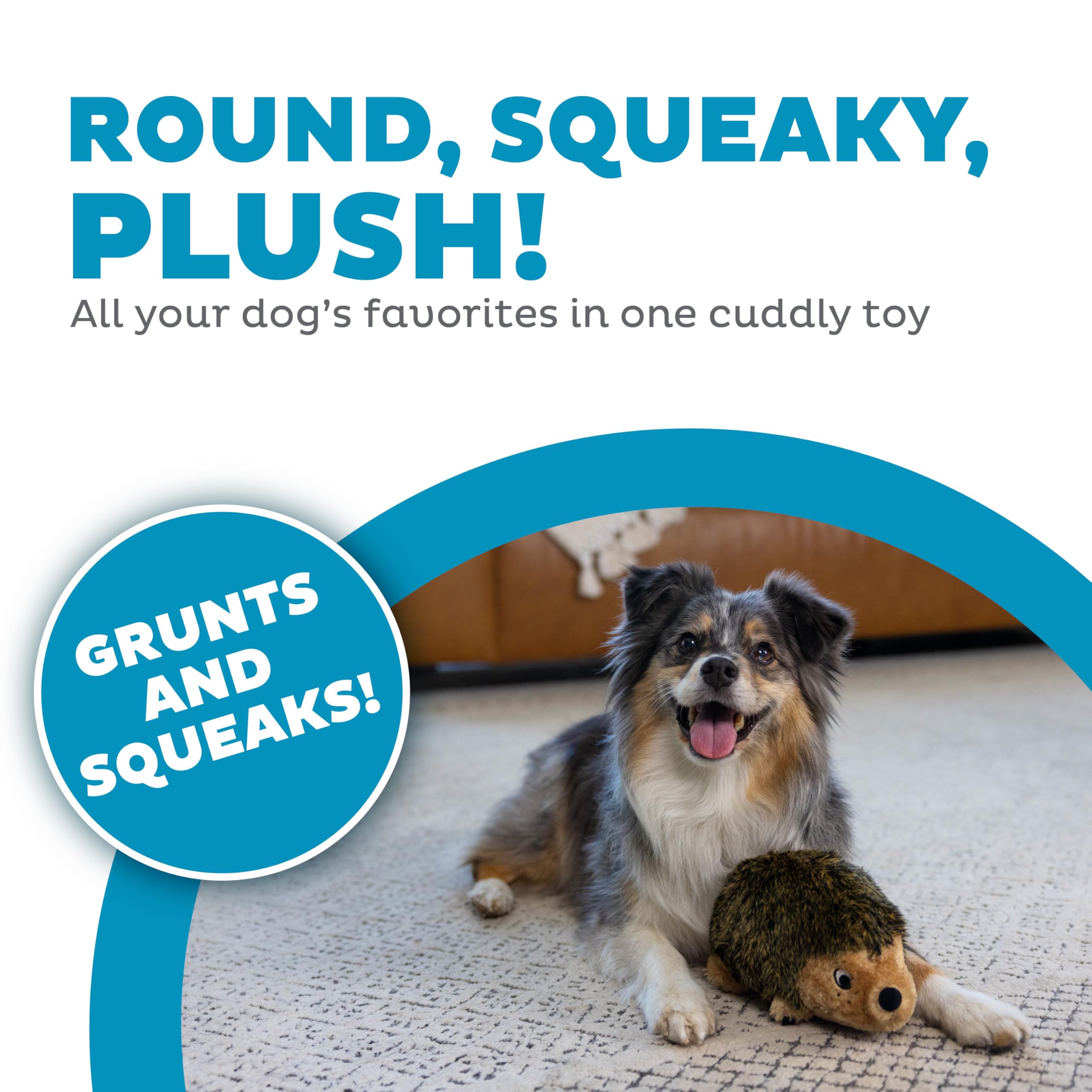 Outward Hound Hedgehogz grognement et couinement stimulants lors du jeu.