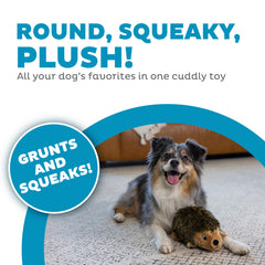 Outward Hound Hedgehogz grognement et couinement stimulants lors du jeu.