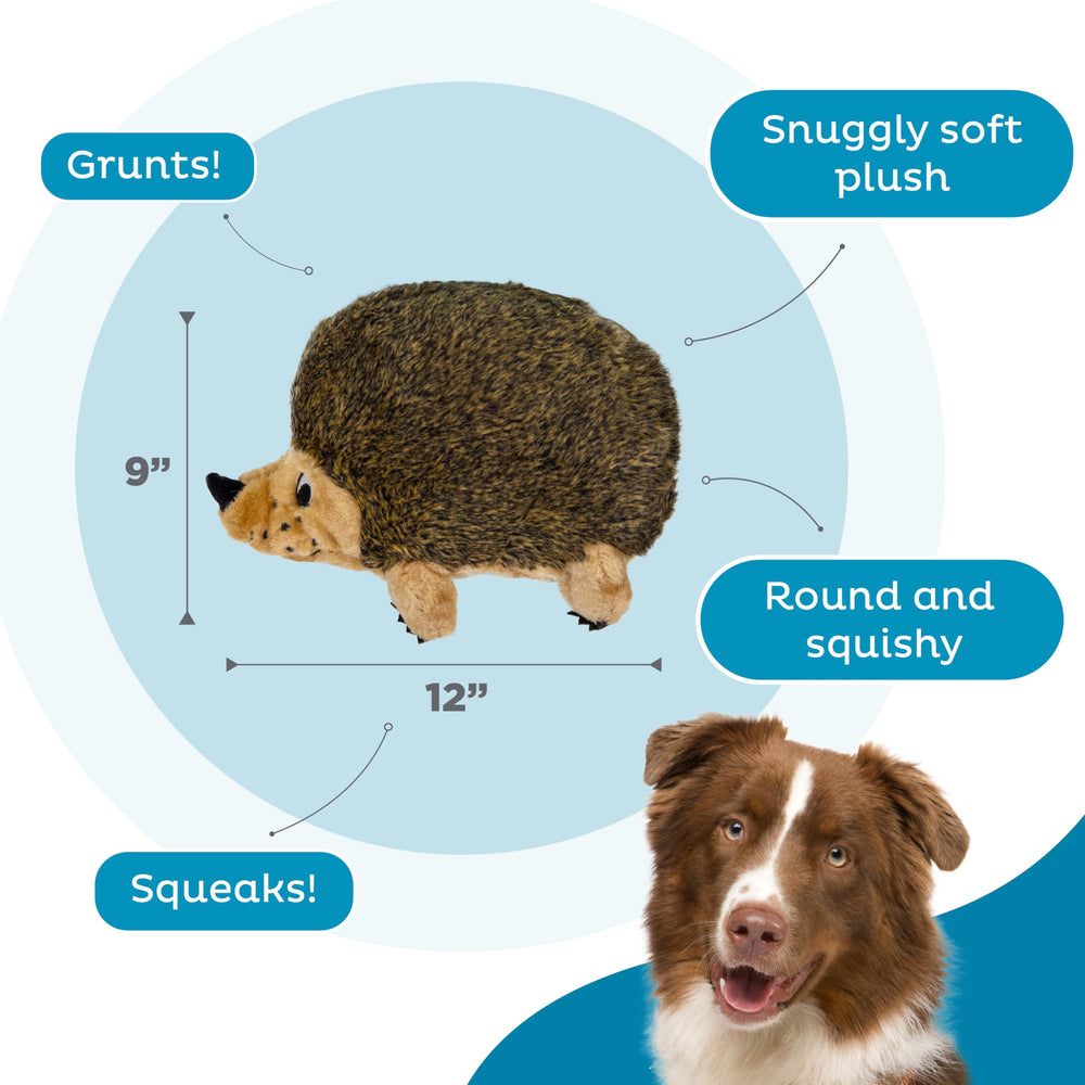 Hedgehogz en XL avec sifflement et grognement pour stimulation auditive.
