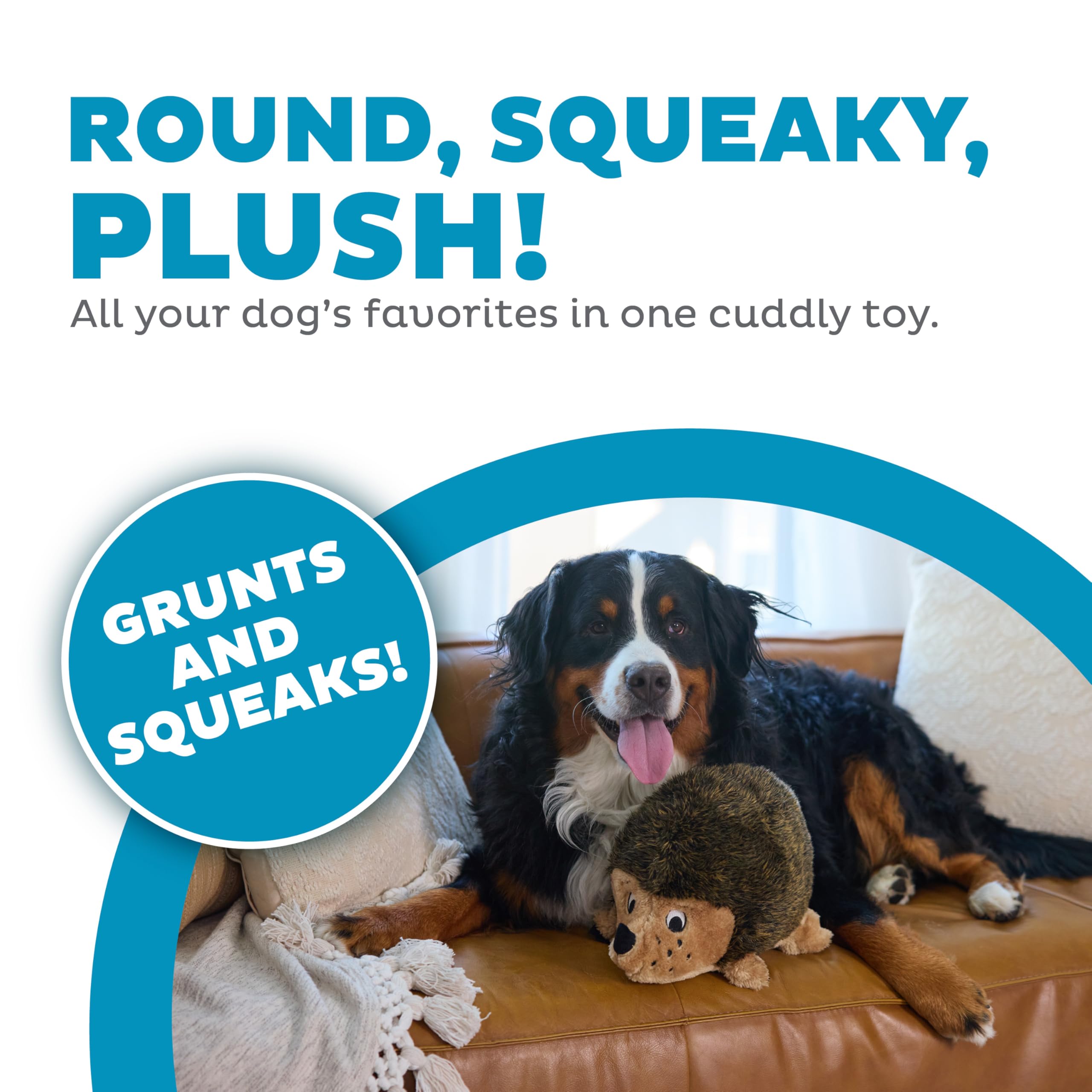 Texture douce de Hedgehogz pour un confort quotidien du chien.