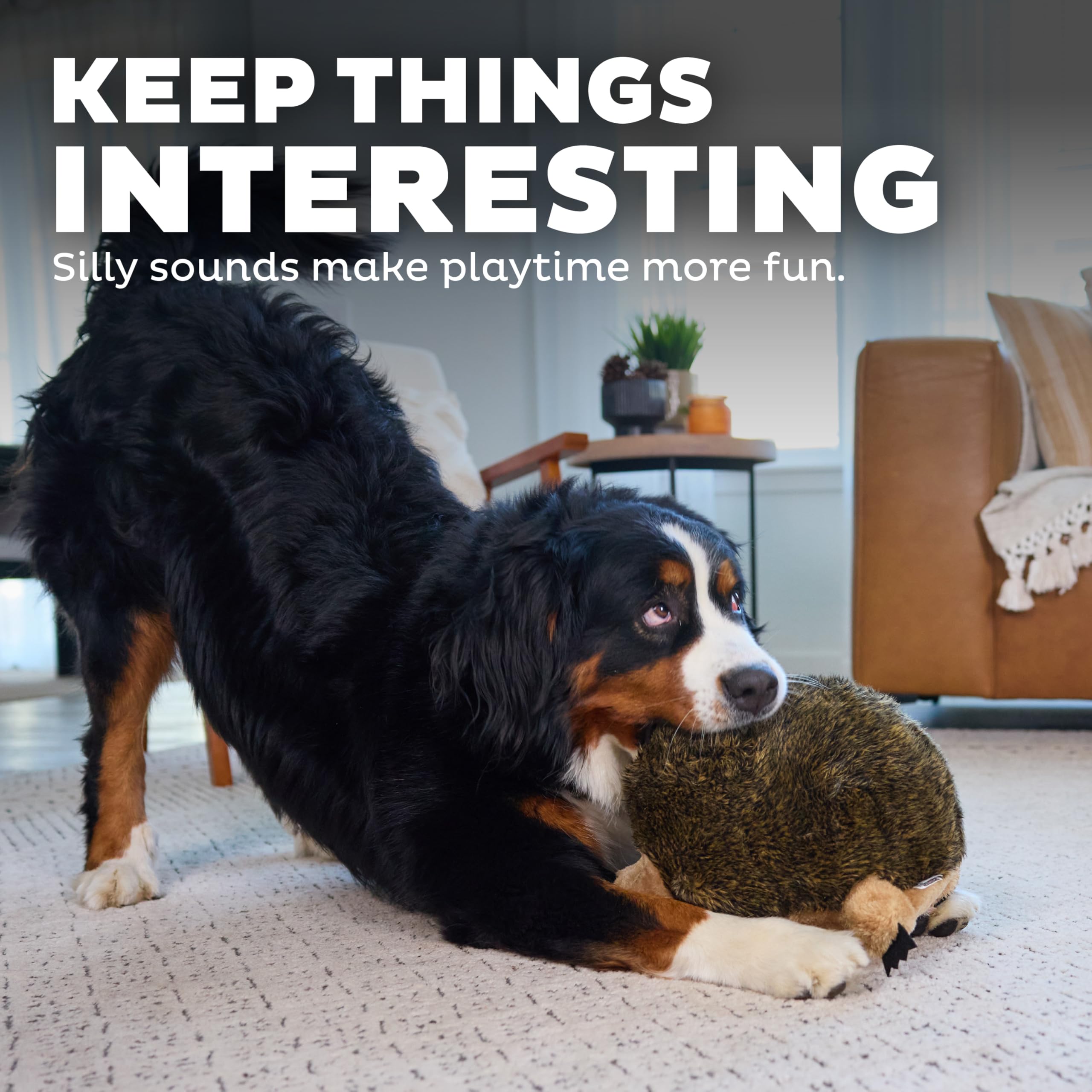 Jouet Hedgehogz XL adapté aux chiens actifs et joueurs.
