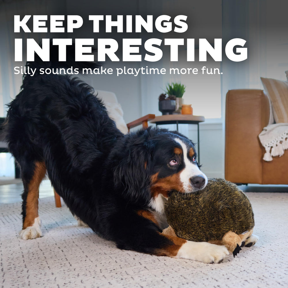 Jouet Hedgehogz XL adapté aux chiens actifs et joueurs.