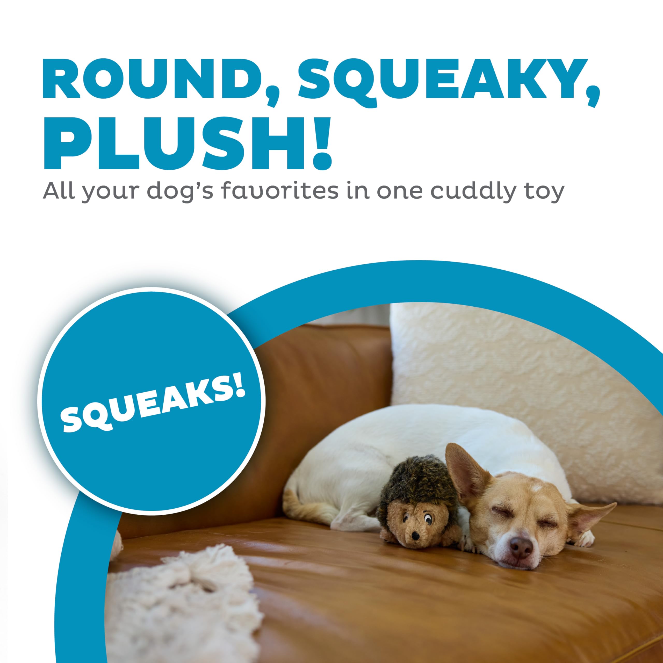 Outward Hound Hedgehogz avec sifflet, stimule le jeu et l’interaction.