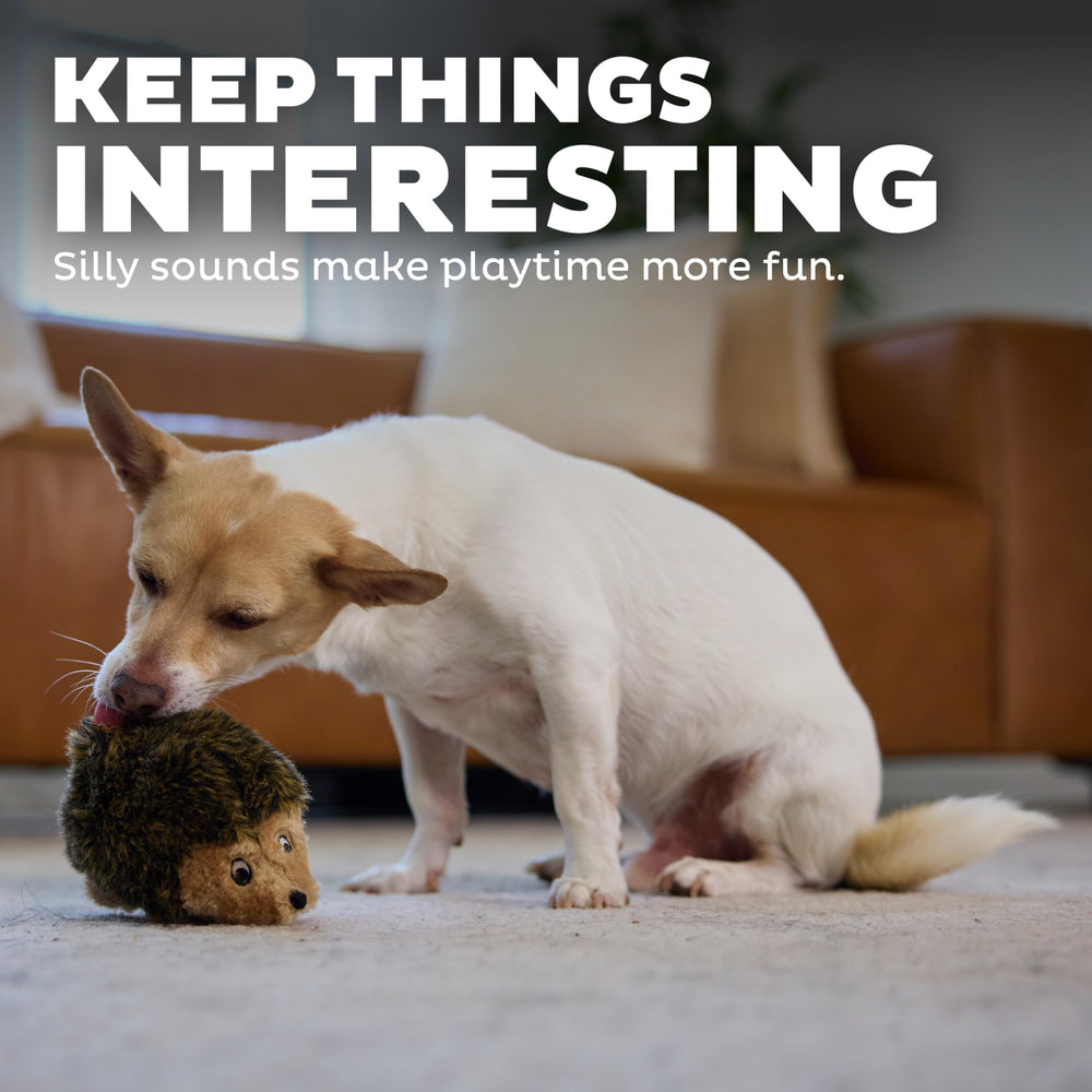 Tailles variées d’Outward Hound Hedgehogz pour chiens de toutes morphologies.