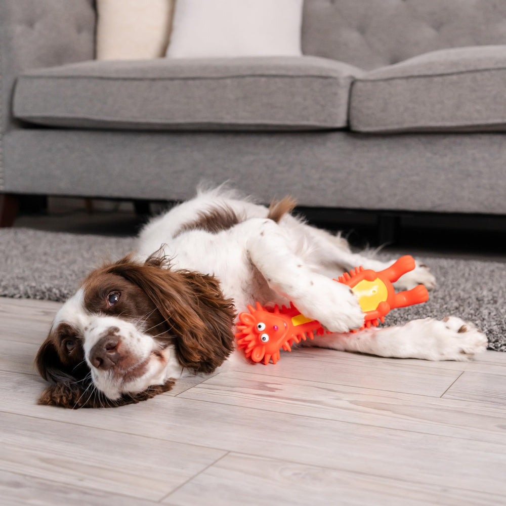 Outward Hound hérisson sans latex, durable et sûr pour les jeux supervisés