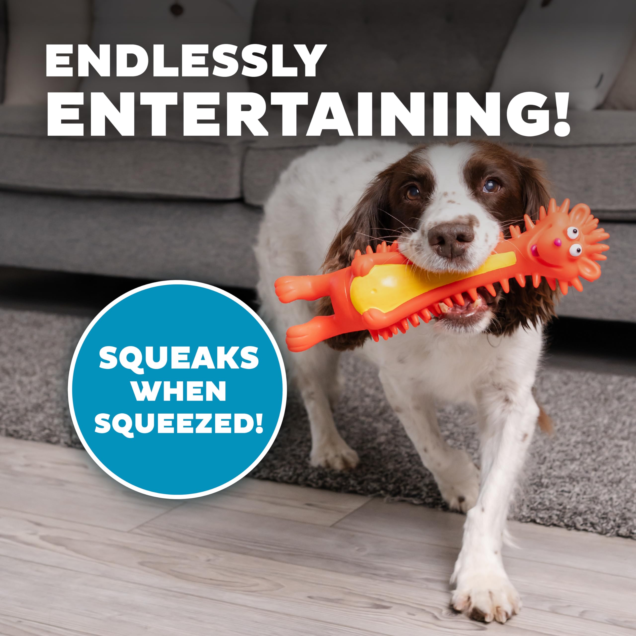 Outward Hound hérisson avec motifs personnages, divertissement varié