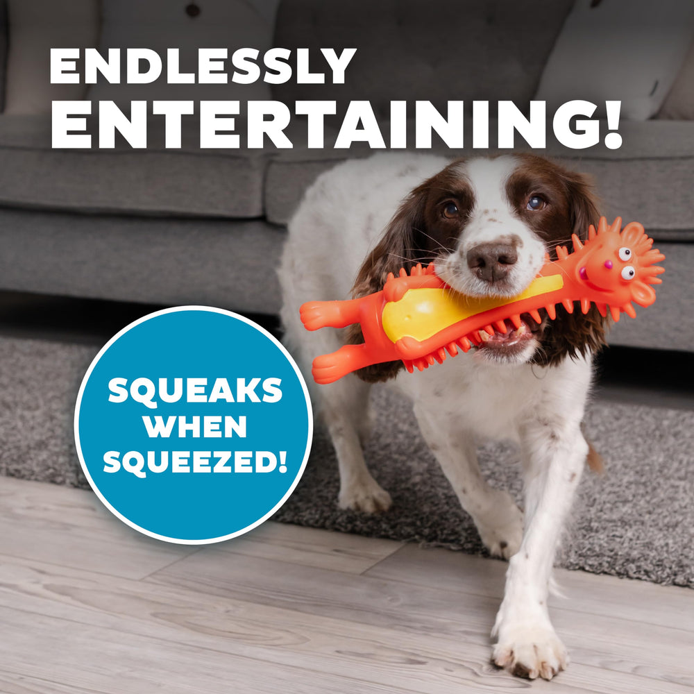 Outward Hound hérisson avec motifs personnages, divertissement varié