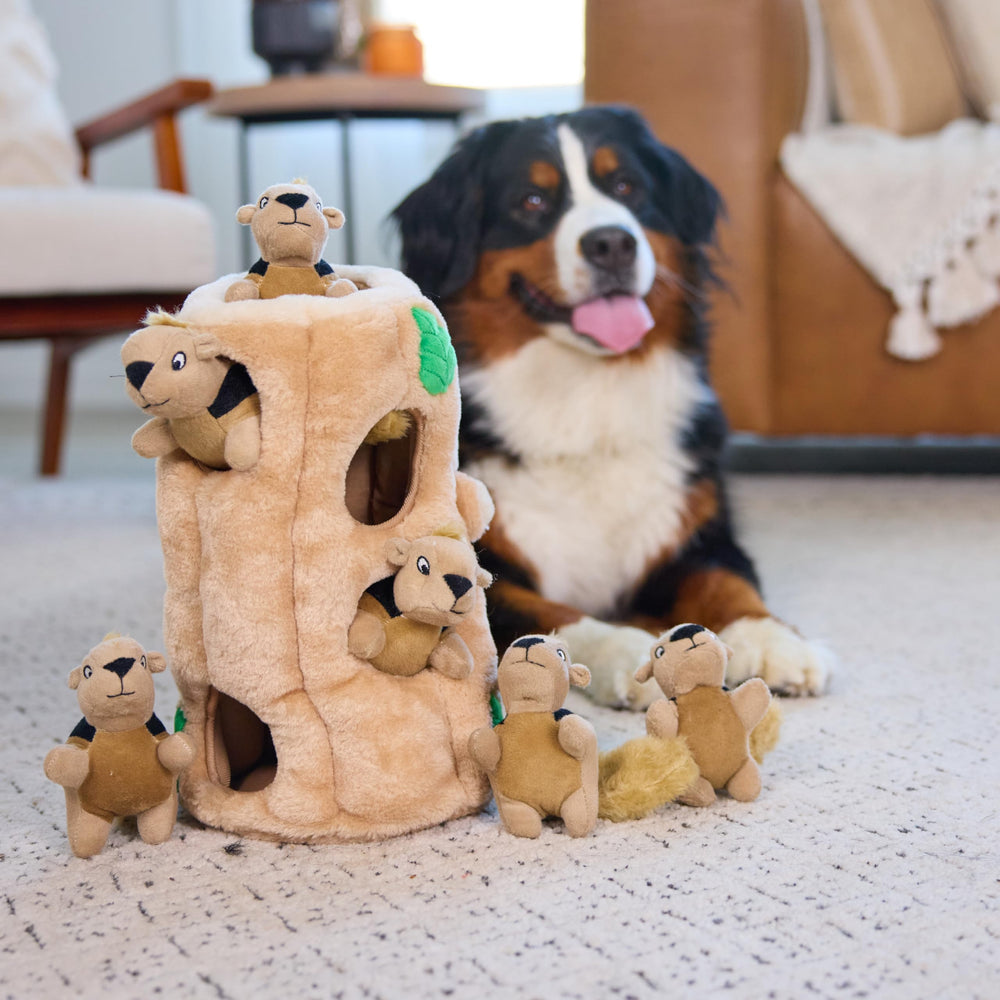Outward Hound Hide-A-Squirrel, consignes-securite et usage supervise pour chien.