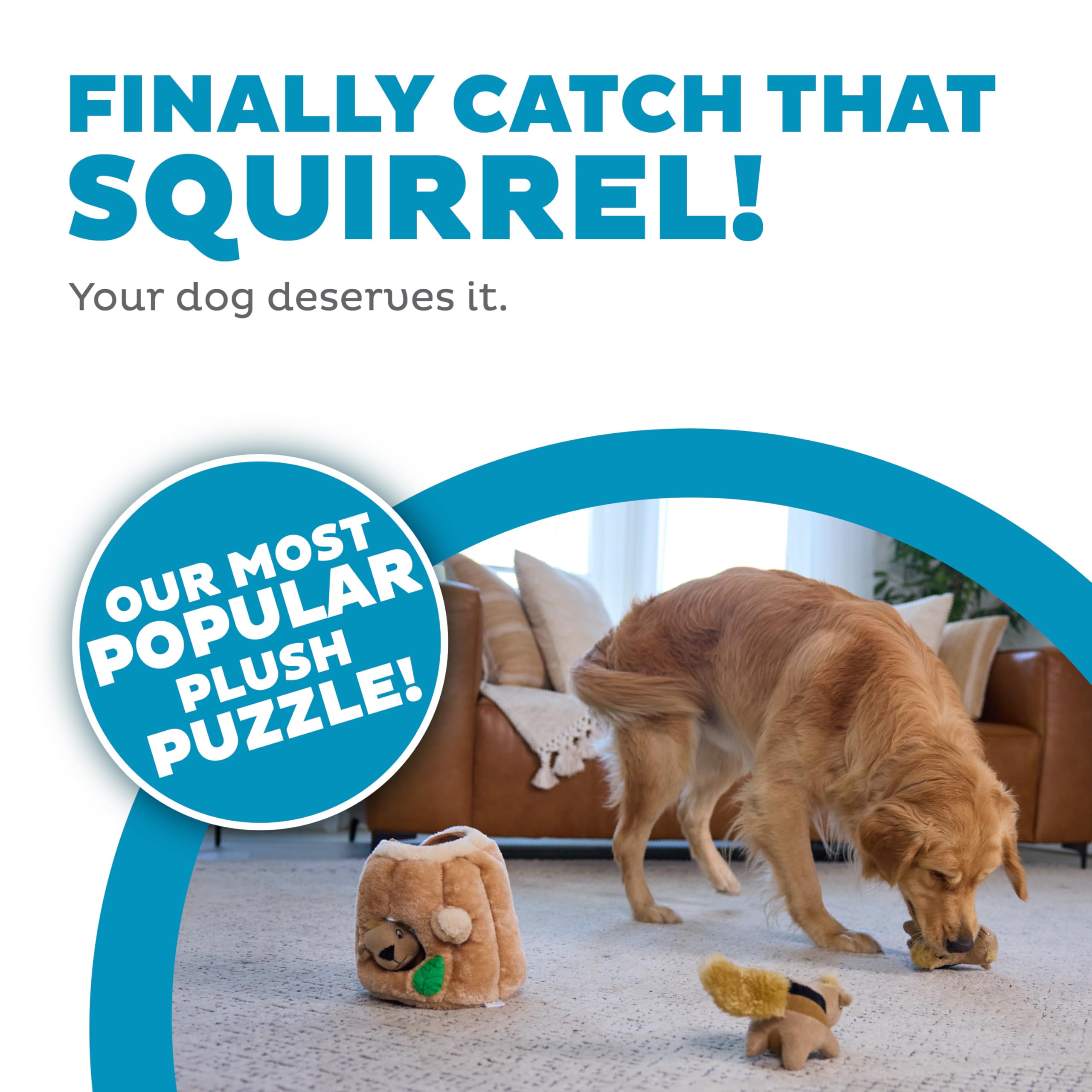 Outward Hound Hide-A-Squirrel peluche douce pour câlins et jeu.