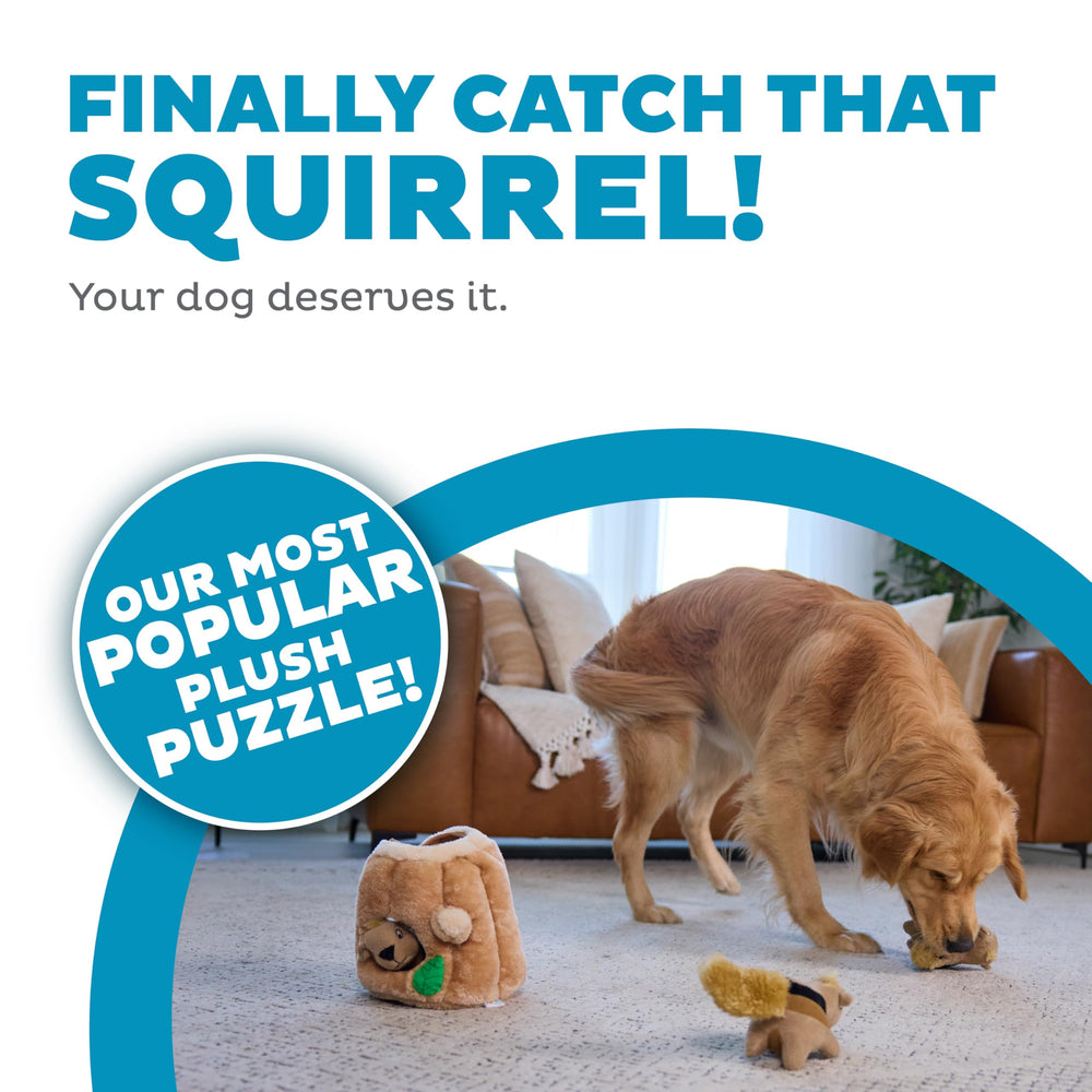 Outward Hound Hide-A-Squirrel peluche douce pour câlins et jeu.