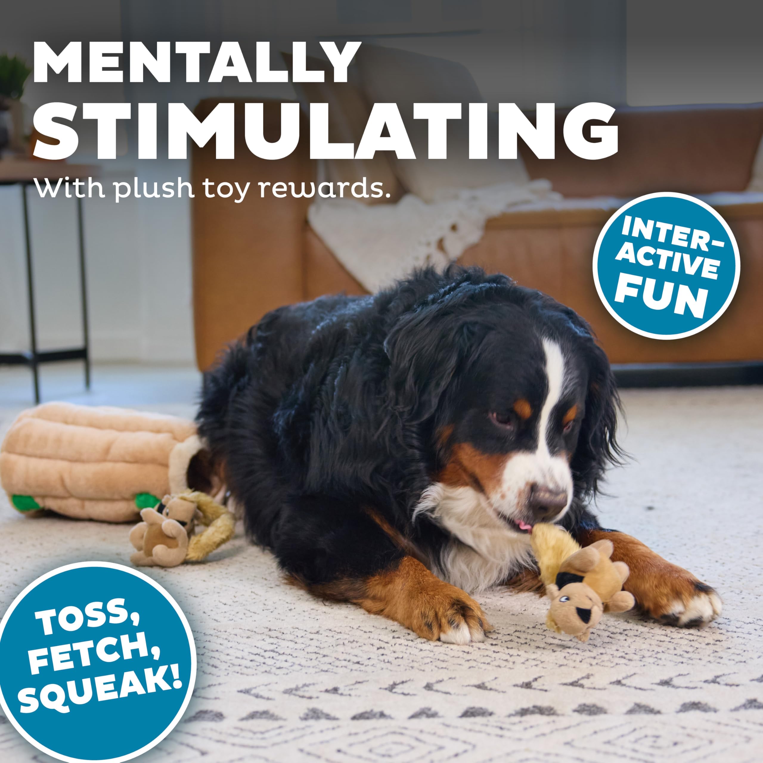 Outward Hound Hide-A-Squirrel, peluche douce, compagnon câlin et jeu sûr.