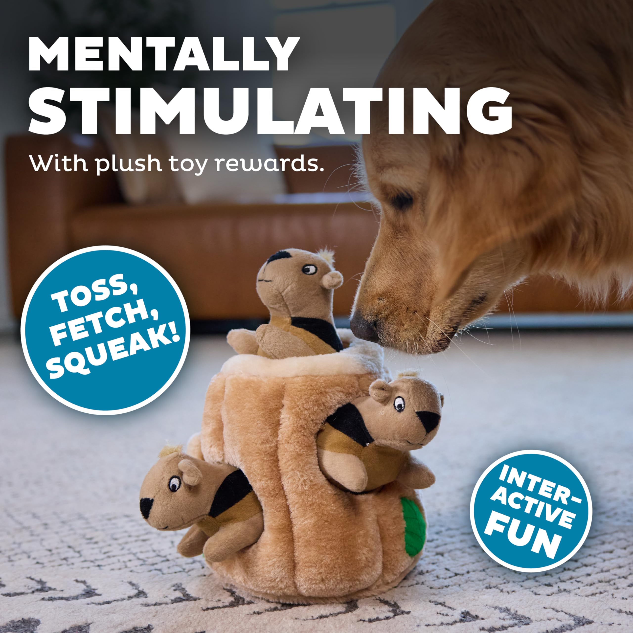 Outward Hound Hide-A-Squirrel stimulation mentale durable et amusante.