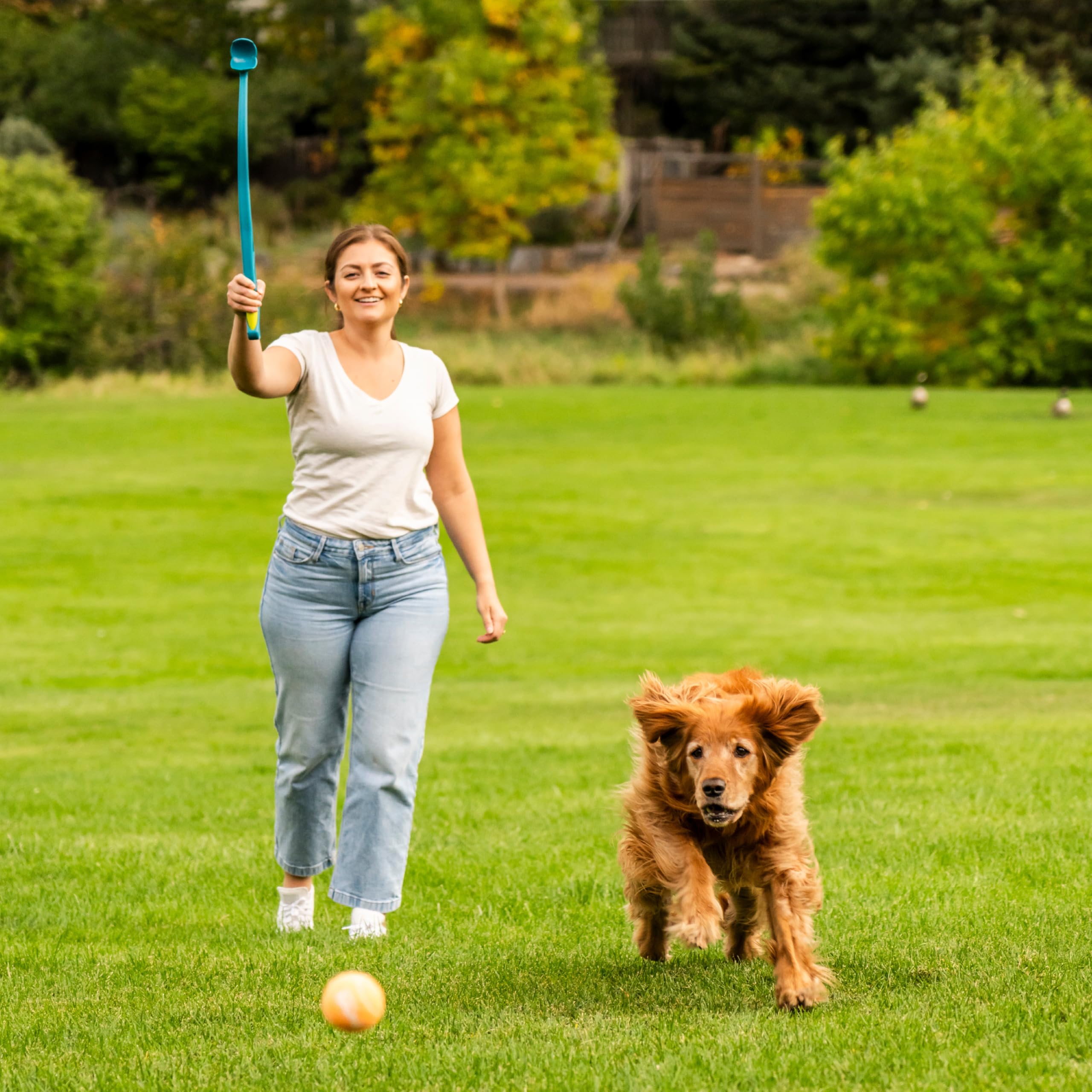 Outward Hound lanceur-balles-entrainement-exercice : outil d’entraînement et de discipline.