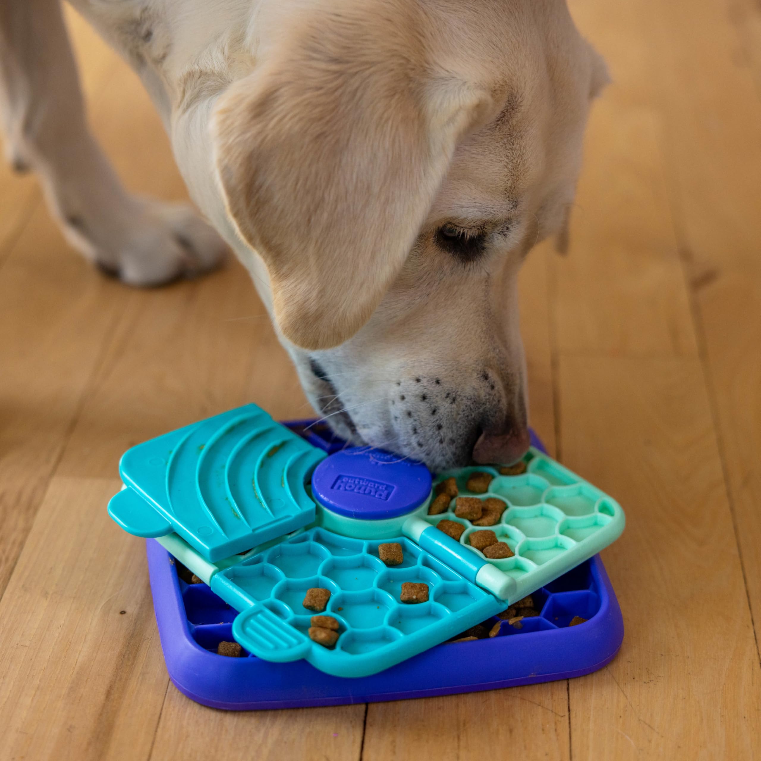 Outward Hound Lick N’ Flip sans BPA et sans PVC
