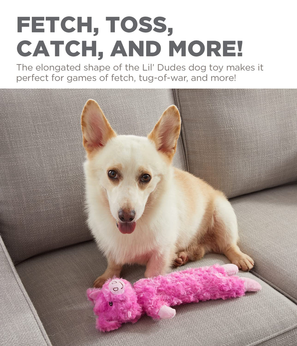 Outward Hound Lil' Dudes Cochon – corps crissant qui stimule le jeu