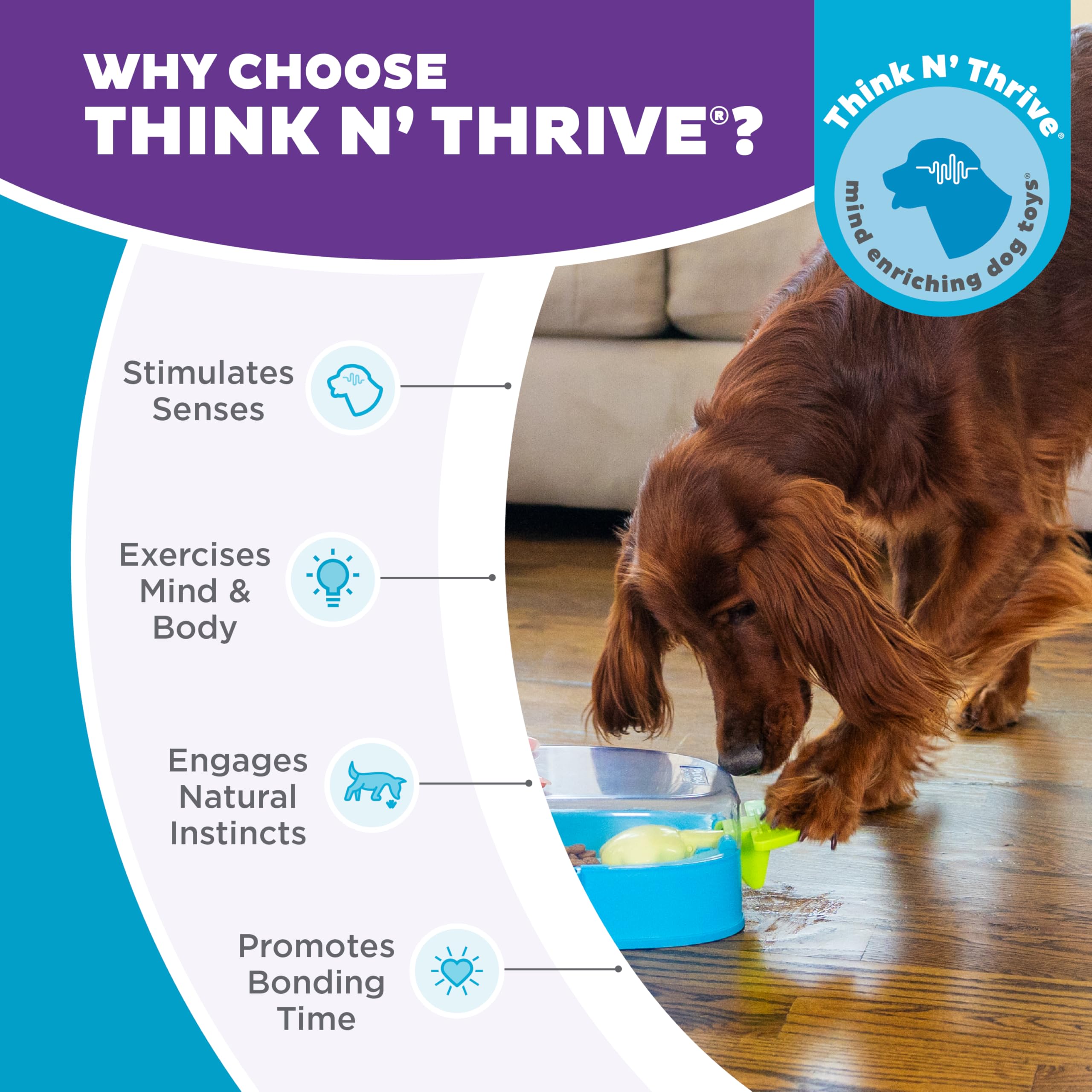 Outward Hound Paw N' Play nettoyage-simple: facile à nettoyer et sans danger